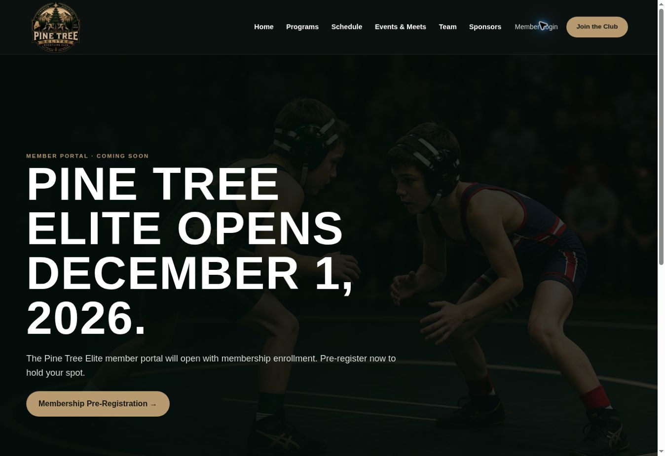 Screenshot of the Pine Tree Elite website